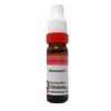 Dr. Reckeweg Abrotanum Dilution 6 CH 11 Ml