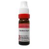 Dr. Reckeweg Caladium Seg Dilution 6 CH 11 Ml