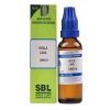 Sbl Hekla Lava Dilution 1000 Ch 30ml