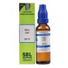 Sbl Hekla Lava Dilution 200 Ch 30ml