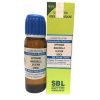 Sbl Hippomane Mancinella Dilution 200 Ch 30ml