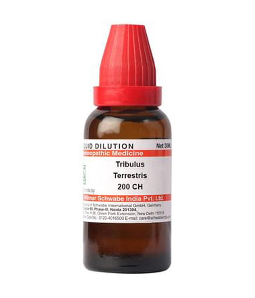 Dr Willmar Schwabe India Tribulus Terrestris Dilution 200 CH