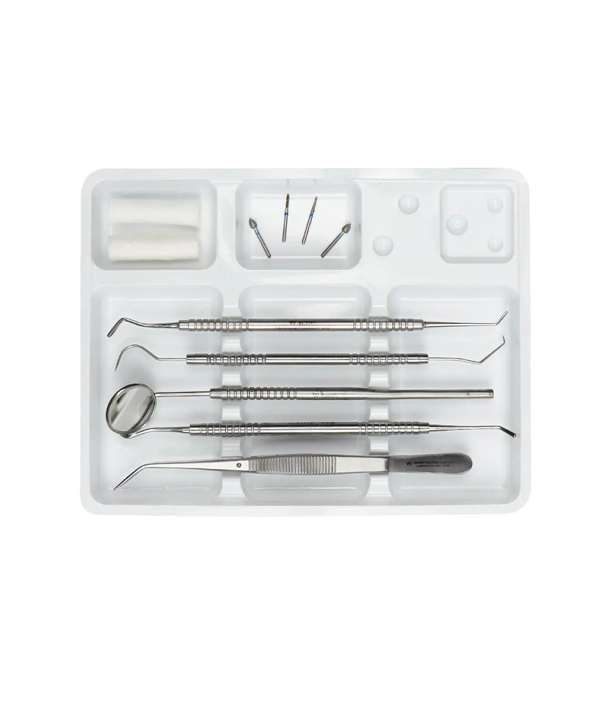 Cotisen Disposable Plastic Instrument Trays