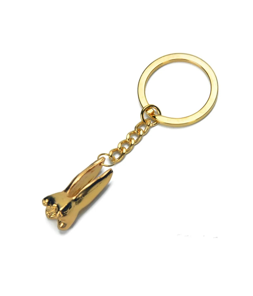 Dental Golden Tooth Key Chain