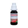 ADEL Gaultheria Proc Mother Tincture Q