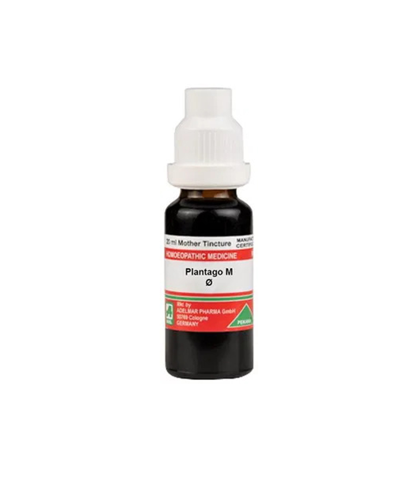 ADEL Plantago M Mother Tincture Q