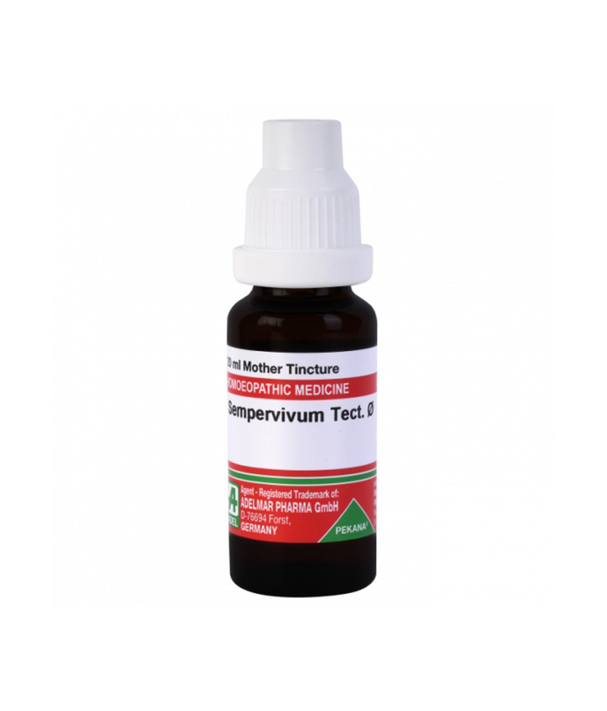 ADEL Sempervivum Tect Mother Tincture Q