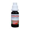 ADEL Syzygium Jambolanum Mother Tincture Q